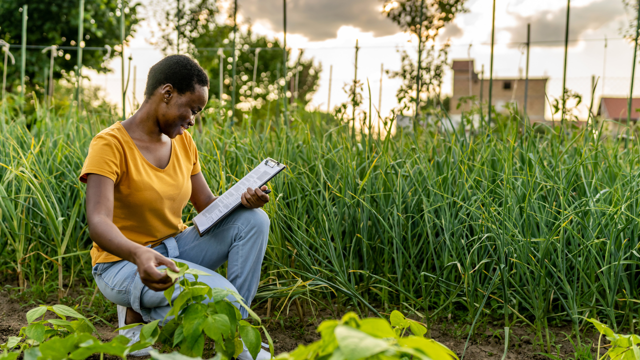 A woman kneeling by plants and checking a clipboard.