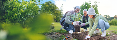 Volunteers in a garden.